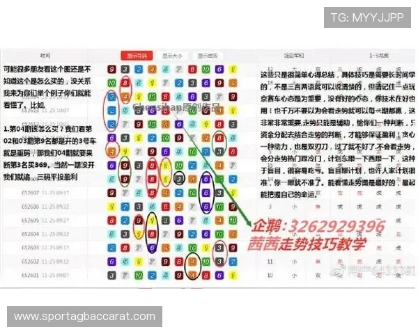 全面解读888真人官方网站最新优惠活动助你轻松稳赢游戏玩法技巧 全面解读888真人官方网站最新优惠活动助你轻松稳赢游戏玩法技巧
