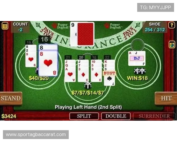 掌握百家樂對子規則的实用指南助你在游戏中合理运用对子策略增加获胜机会 掌握百家樂對子規則的实用指南助你在游戏中合理运用对子策略增加获胜机会